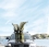 /environment/cache/images/300_250_productGfx_24d090e4f899419afb7b75cf4b2b97ac.jpg